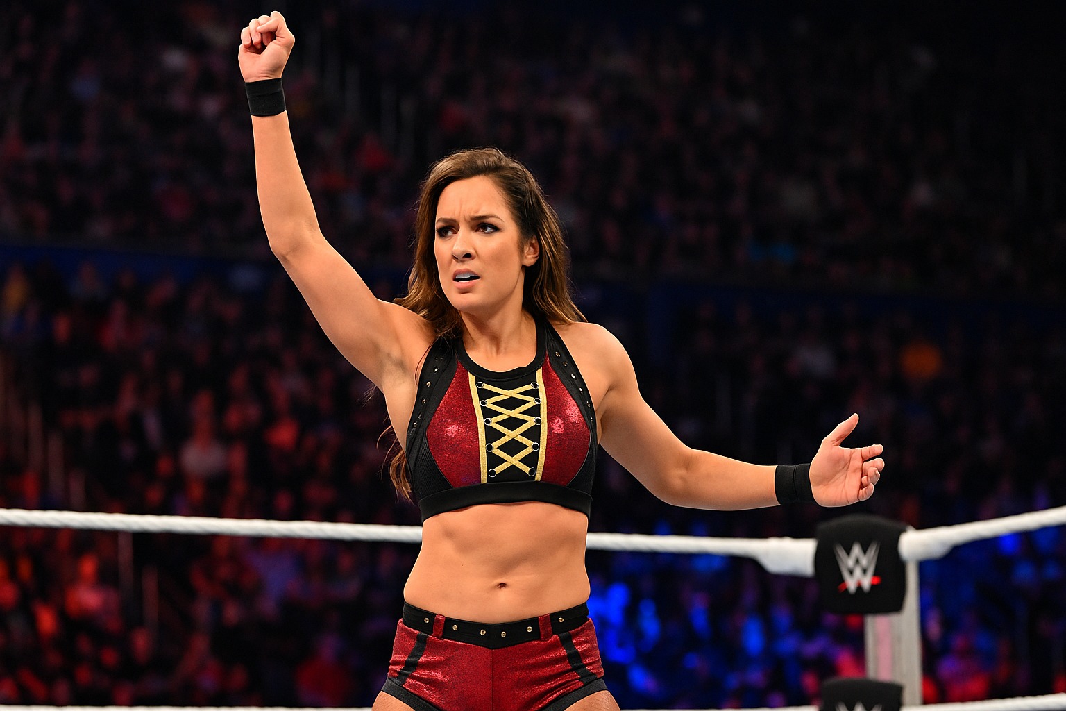 Wrestling femminile: storia, protagoniste di uno spettacolo globale